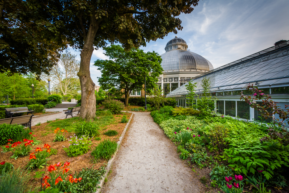 Allan Gardens